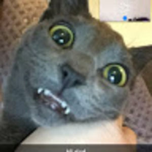 Meet your Posher, Fwee